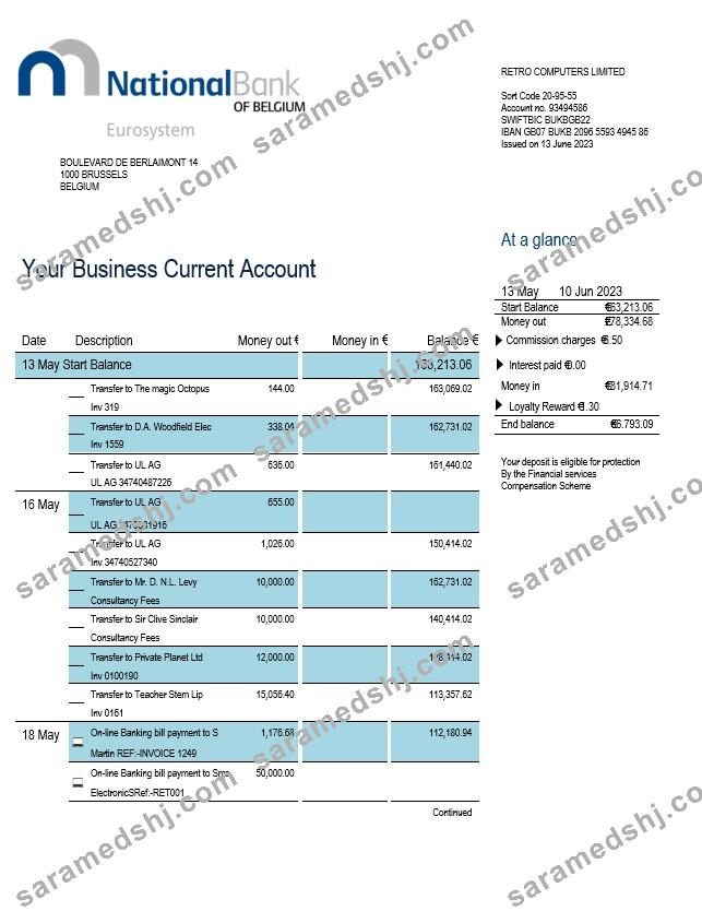 National Bank of Belgium enterprise statement Word and PDF template